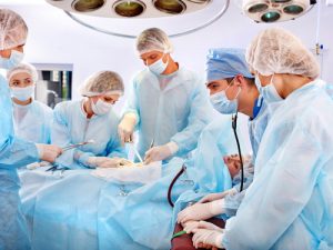 Пересадка костного мозга в Израиле: суть процедуры 
