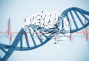 Лечение велокардиофациального синдрома в Израиле