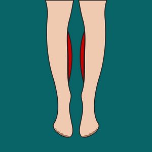 Круропластика