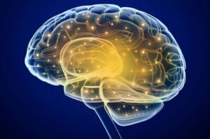 лиссэнцефалия