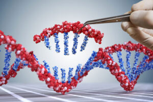 талассемия