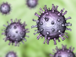 Фибросаркома мягких тканей