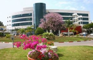 Ассаф Арофэ